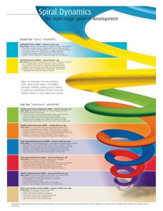 Spiral Dynamics Integral Training voor leiders bij verandering