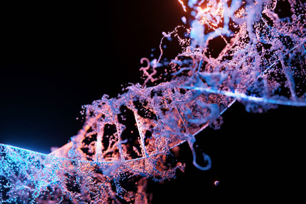Durable Natural Attitude DNA Alba academie
